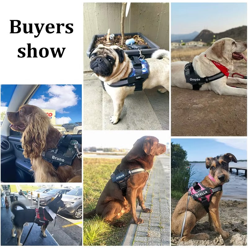 No-Pull Dog Harness